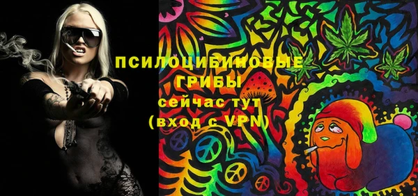 индика Липки