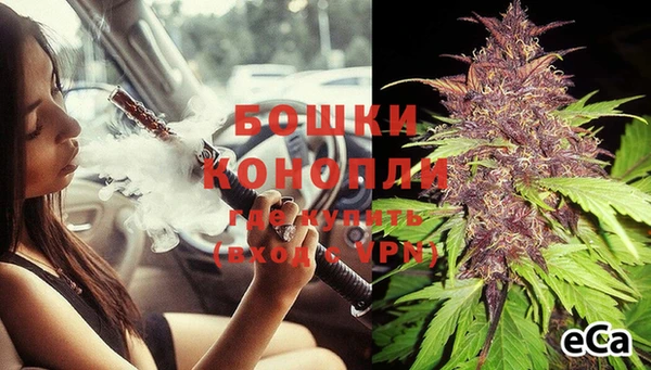 индика Липки