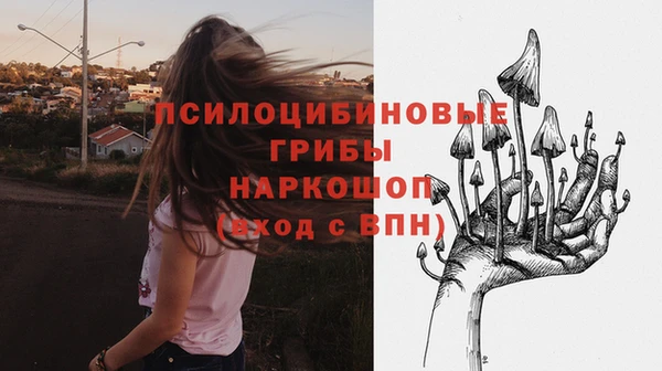 индика Липки